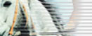 Nds. Pferd Logo