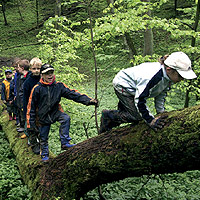 Kinder im Wald, Bildautorin Jennifer Pörtner