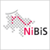 NiBiS