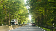 Blick auf den Südschnellweg, PKWs auf rechter Spur, LKW kommt entgegen, rechts und links große Bäume