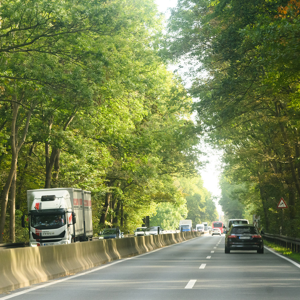 Blick auf den Südschnellweg, PKWs auf rechter Spur, LKW kommt entgegen, rechts und links große Bäume